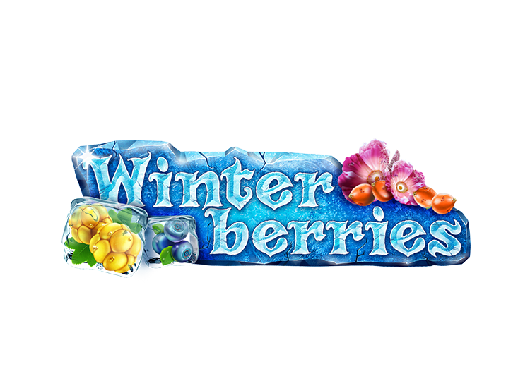 Winter Berries. 